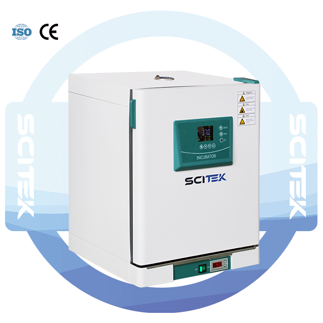 Constant Temperature Incubator P Series